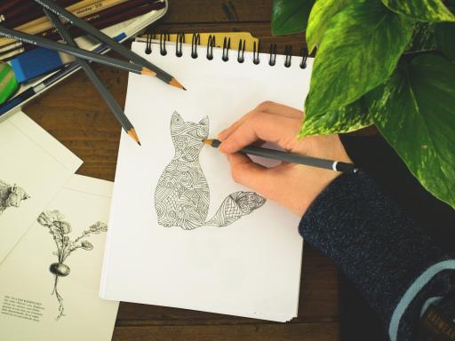 picture of a young person's hand, drawing a detailed picture of a cat