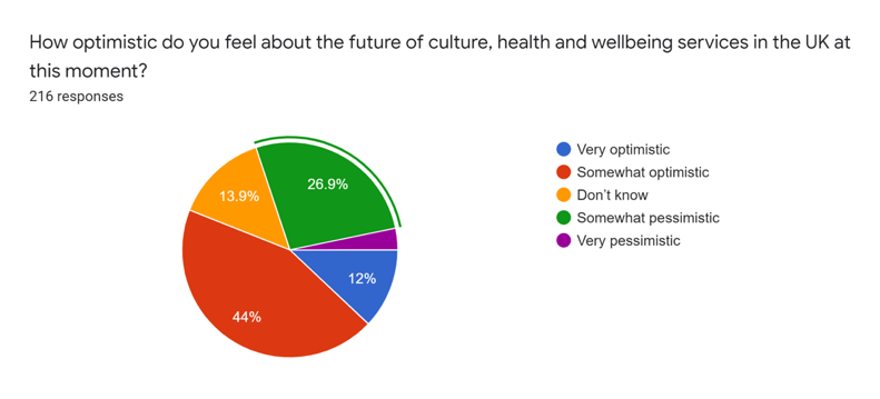 pie chart showing responses, the biggest section being somewhat optimistic at 44%