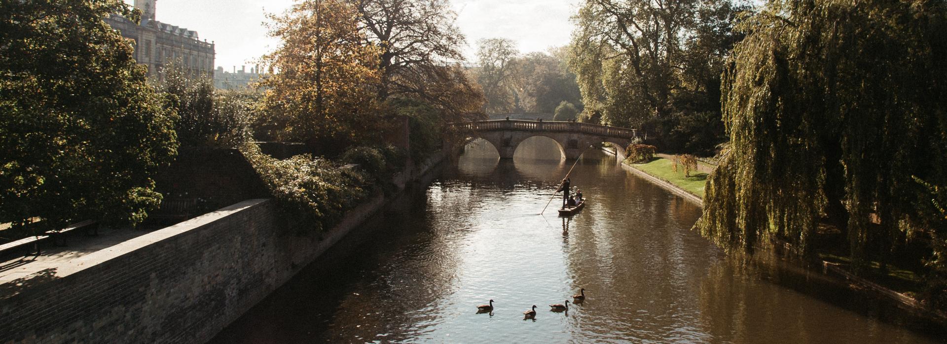 Punting on the Cam