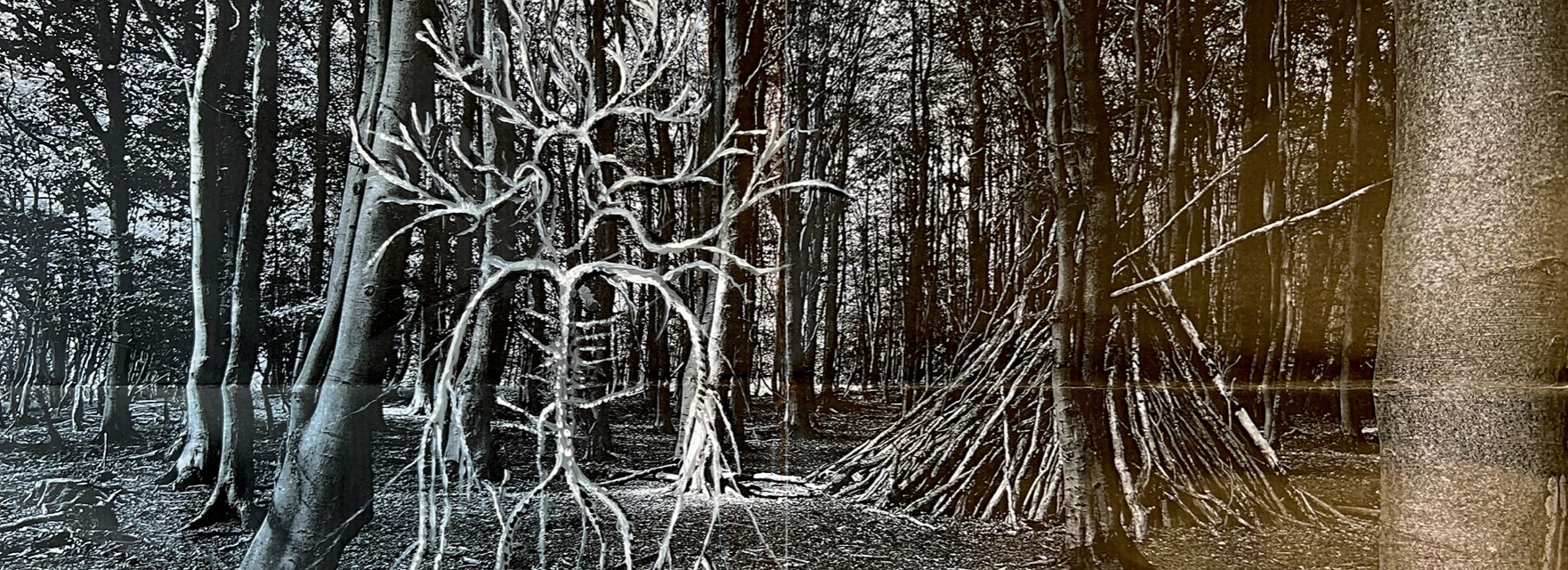 mixed media artwork featuring a skeletal figure appearing against a woodland