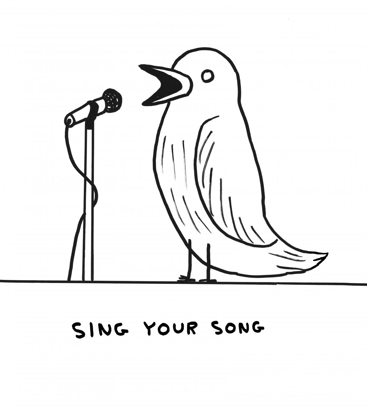 Shrigley bird singing