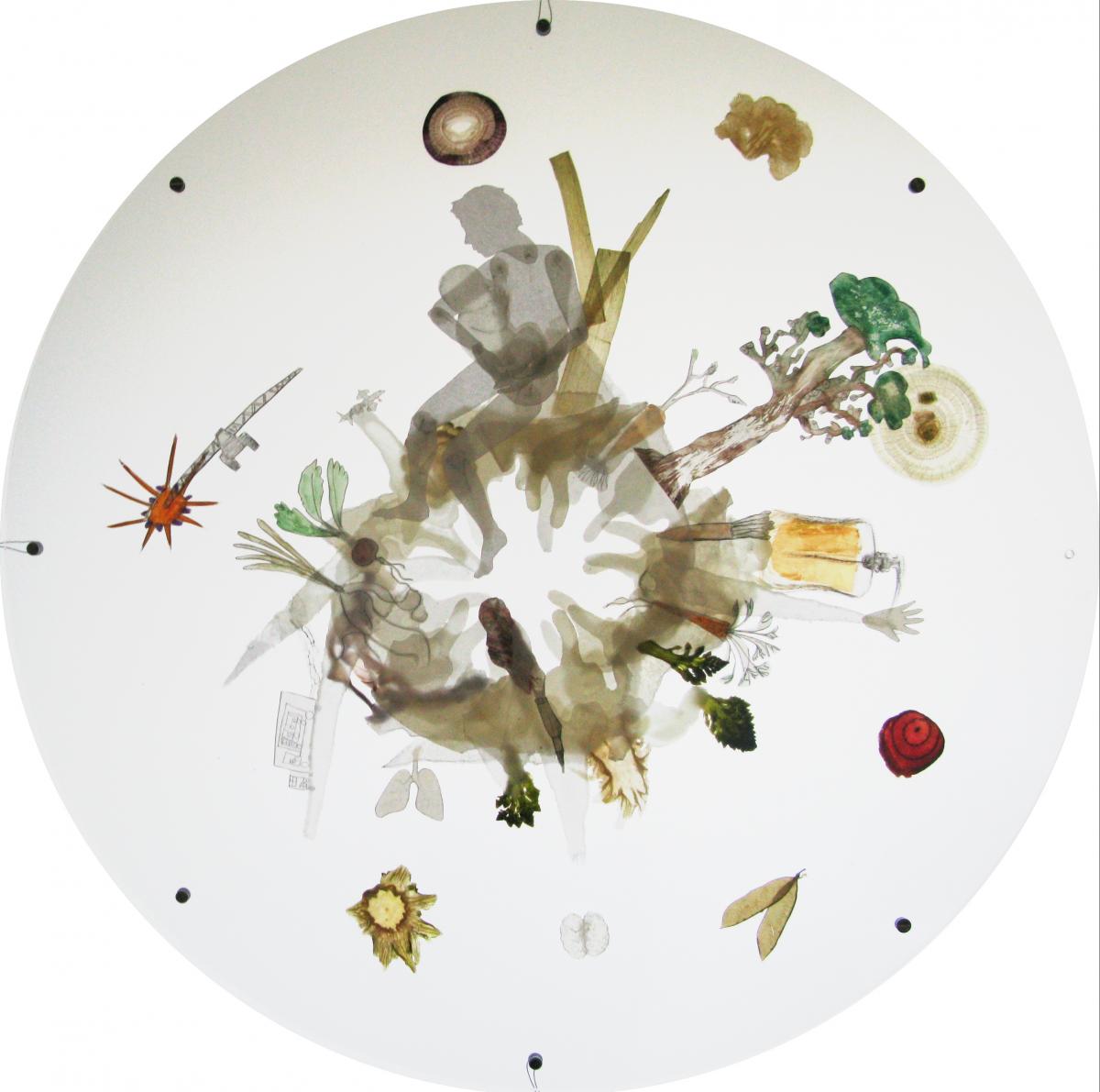 one of Jennie's works of art: Home of the microbes / Small Planet, children's drawings, vegatable papyrus, waxed paper and recycled perspex, by Jennie Pedley. Part of Art of the Gut residency at the Quadram Institute, supported by public funding from the Arts Council England and Norfolk County Council #artofthegut