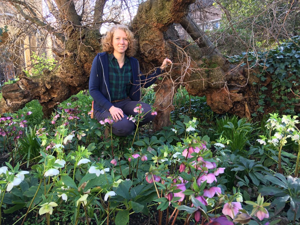 Head gardener Kate Robinson crouches in the Charterhouse garden