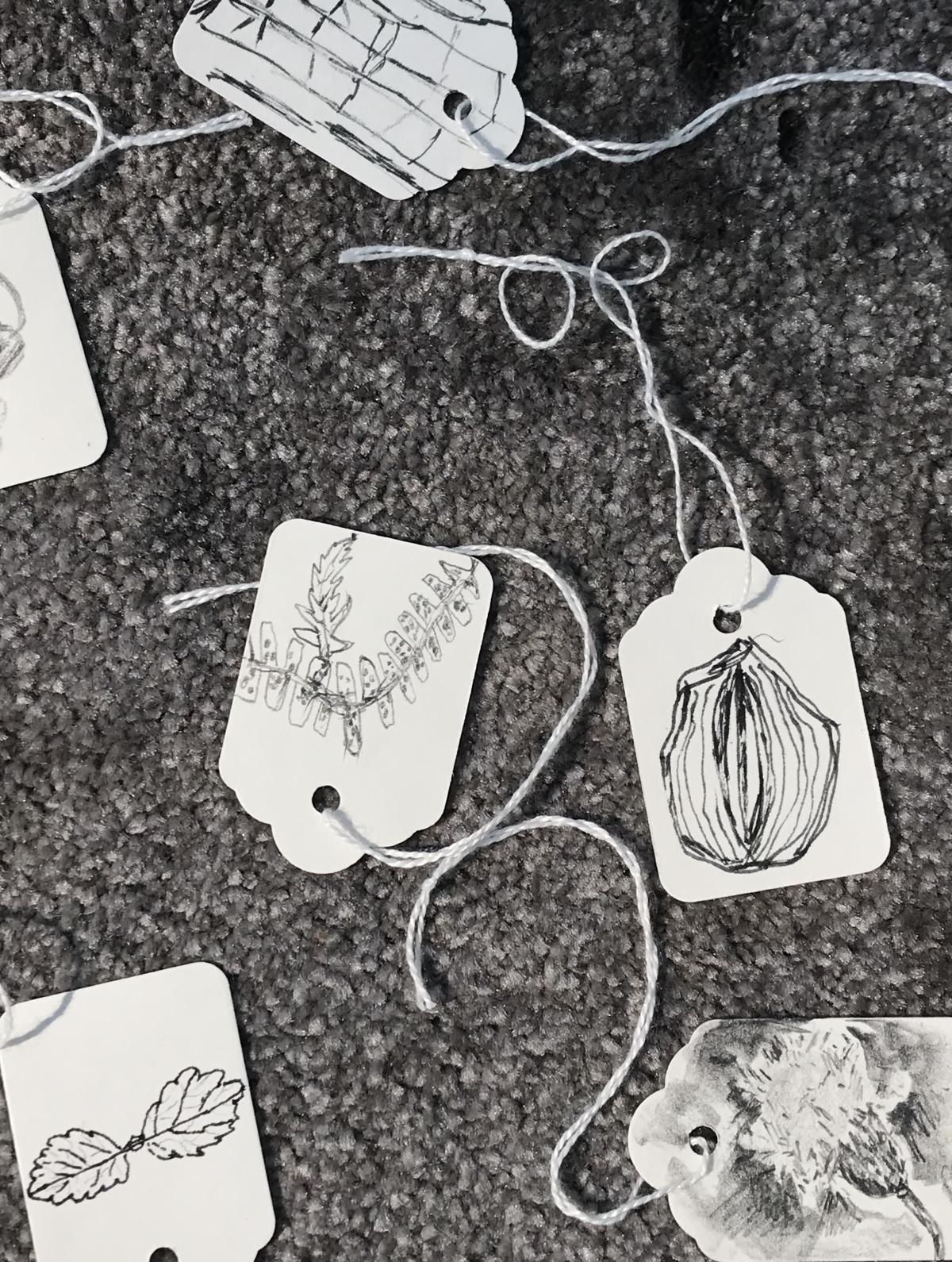 A photograph of small pencil drawings done on paper labels and laid out on a grey mat background: the drawings depict very small found items from the natural world and was taken during the delivery of a wellbeing workshop led by Sue Flowers for the arts organisation Green close