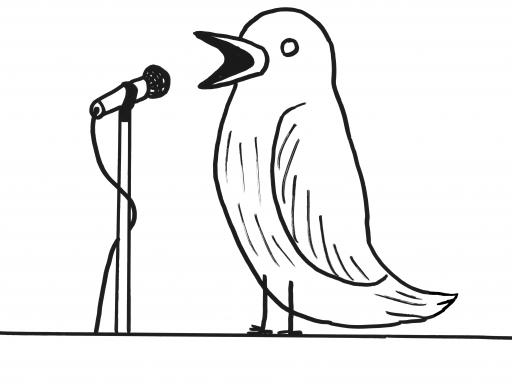 Shrigley bird singing