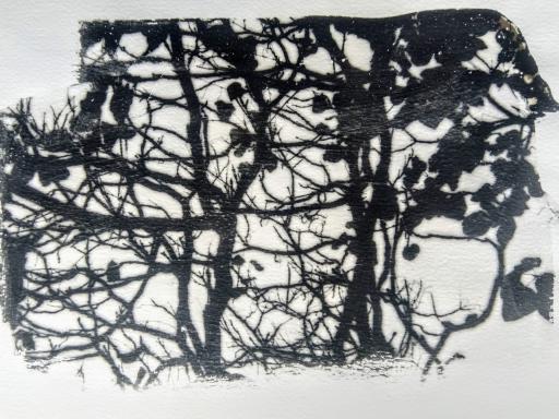 Branching Out artwork by Ruth Flanagan