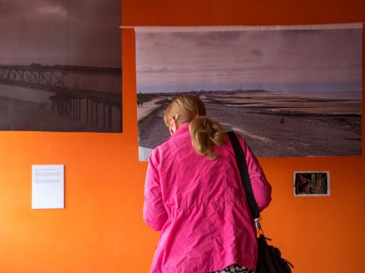 A woman with her back to us, with long hair wearing a pink jacket looks at a painting of a coastline on an orange gallery wall