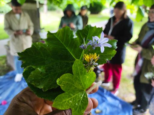 Yarmouth Springs Eternal - creating found object bundles in the rain - someone holding a bunch of leaves, flowers, daffodils, weeds with a blurred background of others doing the same