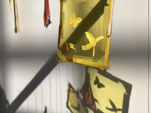 coloured squares hanging in a gallery space with the light filtering through them